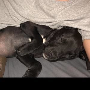 Meet your Posher, Adrianne